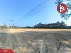 ขายที่ดิน เนื้อที่ 1 ไร่ 1 งาน 89 ตร.วา แสลง จันทบุรี-202510270917111761531431485.jpg