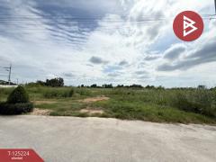 ขายที่ดิน-เนื้อที่-11-ไร่-3-งาน-22-ตร.วา-บ