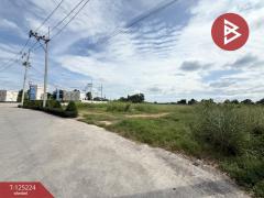 ขายที่ดิน เนื้อที่ 11 ไร่ 3 งาน 22 ตร.วา บางละมุง ชลบุรี-202510270954521761533692054.jpg