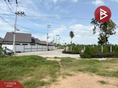 ขายที่ดิน เนื้อที่ 11 ไร่ 3 งาน 22 ตร.วา บางละมุง ชลบุรี-202510270954521761533692574.jpg