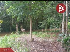 ขายที่ดิน เนื้อที่ 1 งาน 91 ตร.วา หนองบัว จันทบุรี