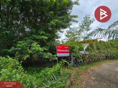 ขายที่ดิน เนื้อที่ 1 งาน 91 ตร.วา หนองบัว จันทบุรี-202510271020401761535240547.jpg