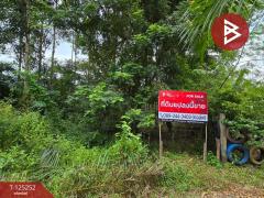 ขายที่ดิน เนื้อที่ 1 งาน 91 ตร.วา หนองบัว จันทบุรี-202510271020411761535241072.jpg