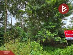 ขายที่ดิน เนื้อที่ 1 งาน 91 ตร.วา หนองบัว จันทบุรี-202510271020411761535241626.jpg