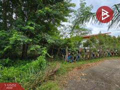 ขายที่ดิน เนื้อที่ 1 งาน 91 ตร.วา หนองบัว จันทบุรี-202510271020421761535242173.jpg