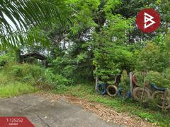 ขายที่ดิน เนื้อที่ 1 งาน 91 ตร.วา หนองบัว จันทบุรี-202510271020421761535242700.jpg