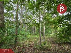 ขายที่ดิน เนื้อที่ 1 งาน 91 ตร.วา หนองบัว จันทบุรี-202510271020441761535244575.jpg