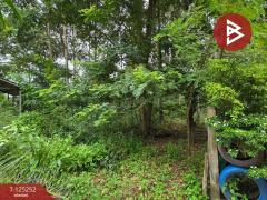 ขายที่ดิน เนื้อที่ 1 งาน 91 ตร.วา หนองบัว จันทบุรี-202510271020451761535245106.jpg