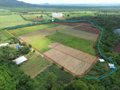 ที่ดิน 42 ไร่ วิวภูเขาติดลำห้วย ธรรมชาติล้อมรอบ-202510271023111761535391879.jpg