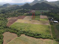 ที่ดิน 42 ไร่ วิวภูเขาติดลำห้วย ธรรมชาติล้อมรอบ-202510271023121761535392538.jpg