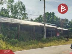 ขายที่ดิน เนื้อที่ 12 ไร่ 1 งาน 61 ตร.วา หนองกระโดน นครสวรรค์-202510271050061761537006737.jpg