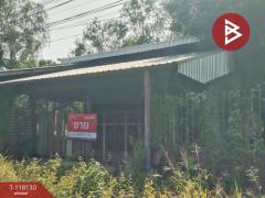 ขายที่ดิน เนื้อที่ 12 ไร่ 1 งาน 61 ตร.วา หนองกระโดน นครสวรรค์-202510271050071761537007788.jpg