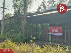 ขายที่ดิน เนื้อที่ 12 ไร่ 1 งาน 61 ตร.วา หนองกระโดน นครสวรรค์-202510271050081761537008309.jpg