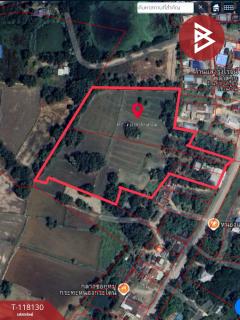 ขายที่ดิน เนื้อที่ 12 ไร่ 1 งาน 61 ตร.วา หนองกระโดน นครสวรรค์-202510271050081761537008832.jpg