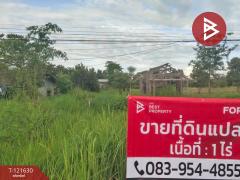 ขายที่ดิน 1 ไร่ ติดสายเอเชีย ขาณุวรลักษบุรี กำแพงเพชร-202510271104211761537861202.jpg