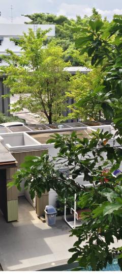 ขายคอนโดพร้อมผู้เช่า คอนโด เอสเปซมี สุขุมวิท 77 อ่อนนุช ตึกC ชั้น3-202510271113201761538400801.jpg