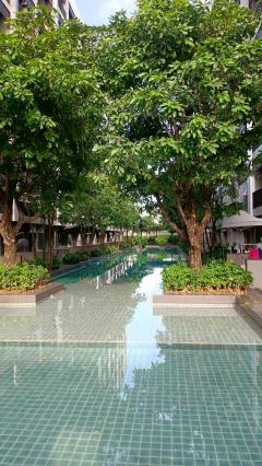 ขายคอนโดพร้อมผู้เช่า คอนโด เอสเปซมี สุขุมวิท 77 อ่อนนุช ตึกC ชั้น3-202510271113211761538401379.jpg