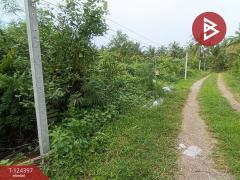 ขายที่ดิน เนื้อที่ 2 ไร่ 3 ตร.วา แม่กลอง สมุทรสงคราม