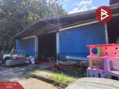  ขายที่ดินพร้อมอาคารพาณิชย์ เนื้อที่ 203.8 ตารางวา ใจกลางเมืองหนองคาย ในเมือง หนองคาย-202510271133491761539629878.jpg