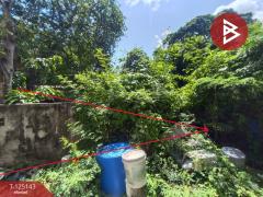  ขายที่ดินพร้อมอาคารพาณิชย์ เนื้อที่ 203.8 ตารางวา ใจกลางเมืองหนองคาย ในเมือง หนองคาย-202510271133511761539631965.jpg