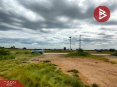 ขายที่ดินถมแล้ว เนื้อที่ 2 งาน บ้านโพธิ์ ฉะเชิงเทรา-202510271225241761542724993.jpg