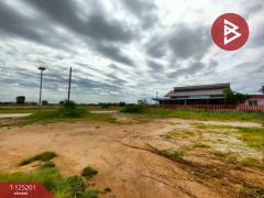 ขายที่ดินถมแล้ว เนื้อที่ 2 งาน บ้านโพธิ์ ฉะเชิงเทรา-202510271225251761542725504.jpg