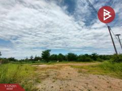 ขายที่ดินถมแล้ว เนื้อที่ 2 งาน บ้านโพธิ์ ฉะเชิงเทรา-202510271225261761542726027.jpg