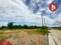 ขายที่ดินถมแล้ว เนื้อที่ 2 งาน บ้านโพธิ์ ฉะเชิงเทรา-202510271225271761542727058.jpg