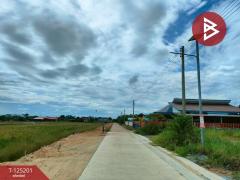 ขายที่ดินถมแล้ว เนื้อที่ 2 งาน บ้านโพธิ์ ฉะเชิงเทรา-202510271225271761542727577.jpg