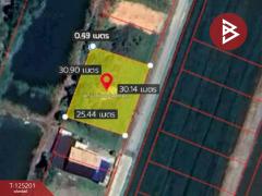 ขายที่ดินถมแล้ว เนื้อที่ 2 งาน บ้านโพธิ์ ฉะเชิงเทรา-202510271225291761542729132.jpg