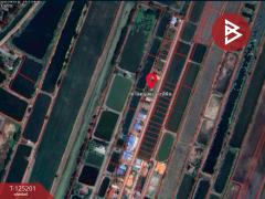 ขายที่ดินถมแล้ว เนื้อที่ 2 งาน บ้านโพธิ์ ฉะเชิงเทรา-202510271225291761542729648.jpg