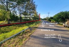 ขาย ที่ดิน ชุมชนบ้านวัด ฝั่งตะวันออก ห่าง ถ.มิตรภาพ 190 ม. ต.เทพาลัย อ.คง จ.นครราชสีมา 17 ไร่ 1 งาน 26 ตรว ใกล้พื้นที่พืชสวนโลก ปี 2572.-202510271312371761545557049.jpg