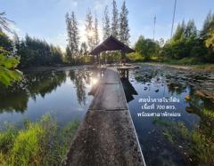 ขาย ที่ดิน ชุมชนบ้านวัด ฝั่งตะวันออก ห่าง ถ.มิตรภาพ 190 ม. ต.เทพาลัย อ.คง จ.นครราชสีมา 17 ไร่ 1 งาน 26 ตรว ใกล้พื้นที่พืชสวนโลก ปี 2572.-202510271312381761545558650.jpg