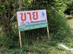 ขายที่ดินเปล่า 2 ไร่ 3 งาน 67 ตารางวา แปลงสวย ย่านประชาชื่น นนทบุรี-202510271349081761547748624.jpg