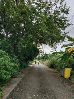 ขายที่ดินเปล่า 2 ไร่ 3 งาน 67 ตารางวา แปลงสวย ย่านประชาชื่น นนทบุรี-202510271349091761547749180.jpg