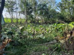 ขายที่ดินเปล่า 1 ไร่ 61 ตร.วา ติดคลองชลประทาน ทำเลดี ใกล้ถนนแสงชูโต อ.ท่ามะกา จ.กาญจนบุรี เพียง 950,000 บาท-202510271410211761549021641.jpg