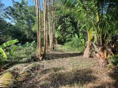 ขายที่ดินเปล่า 1 ไร่ 61 ตร.วา ติดคลองชลประทาน ทำเลดี ใกล้ถนนแสงชูโต อ.ท่ามะกา จ.กาญจนบุรี เพียง 950,000 บาท-202510271410221761549022832.jpg