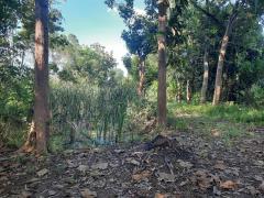 ขายที่ดินเปล่า 1 ไร่ 61 ตร.วา ติดคลองชลประทาน ทำเลดี ใกล้ถนนแสงชูโต อ.ท่ามะกา จ.กาญจนบุรี เพียง 950,000 บาท-202510271410231761549023422.jpg