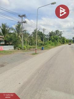  ขายทาวน์โฮมพร้อมที่ดิน เนื้อที่ 54 ตร.วา ชัยบาดาล ลพบุรี-202510271423151761549795121.jpg