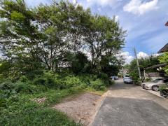 ขาย/ให้เช่าที่ดินถมแล้ว ซอยบางแค 3-202510271510491761552649946.jpg