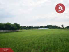 ขายที่ดิน เนื้อที่ 8 ไร่ 41.5 ตร.วา กำแพงแสน นครปฐม-202510271542031761554523660.jpg