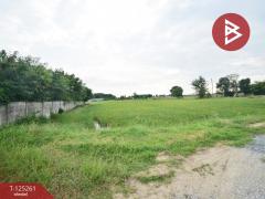 ขายที่ดิน เนื้อที่ 8 ไร่ 41.5 ตร.วา กำแพงแสน นครปฐม-202510271542041761554524182.jpg