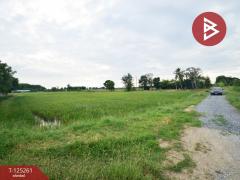 ขายที่ดิน เนื้อที่ 8 ไร่ 41.5 ตร.วา กำแพงแสน นครปฐม-202510271542041761554524872.jpg