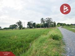 ขายที่ดิน เนื้อที่ 8 ไร่ 41.5 ตร.วา กำแพงแสน นครปฐม-202510271542051761554525399.jpg