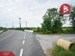 ขายที่ดิน เนื้อที่ 8 ไร่ 41.5 ตร.วา กำแพงแสน นครปฐม-202510271542061761554526356.jpg