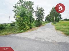 ขายที่ดิน เนื้อที่ 8 ไร่ 41.5 ตร.วา กำแพงแสน นครปฐม-202510271542061761554526877.jpg