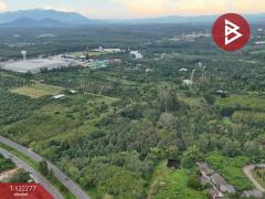 ขายที่ดิน เนื้อที่ 49 ไร่ 79.3 ตร.วา ท่าช้าง จันทบุรี-202510271550331761555033744.jpg