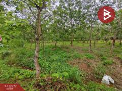 ขายที่ดิน เนื้อที่ 49 ไร่ 79.3 ตร.วา ท่าช้าง จันทบุรี-202510271550341761555034786.jpg