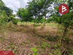 ขายที่ดิน เนื้อที่ 49 ไร่ 79.3 ตร.วา ท่าช้าง จันทบุรี-202510271550351761555035323.jpg