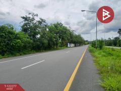 ขายที่ดิน เนื้อที่ 49 ไร่ 79.3 ตร.วา ท่าช้าง จันทบุรี-202510271550361761555036436.jpg